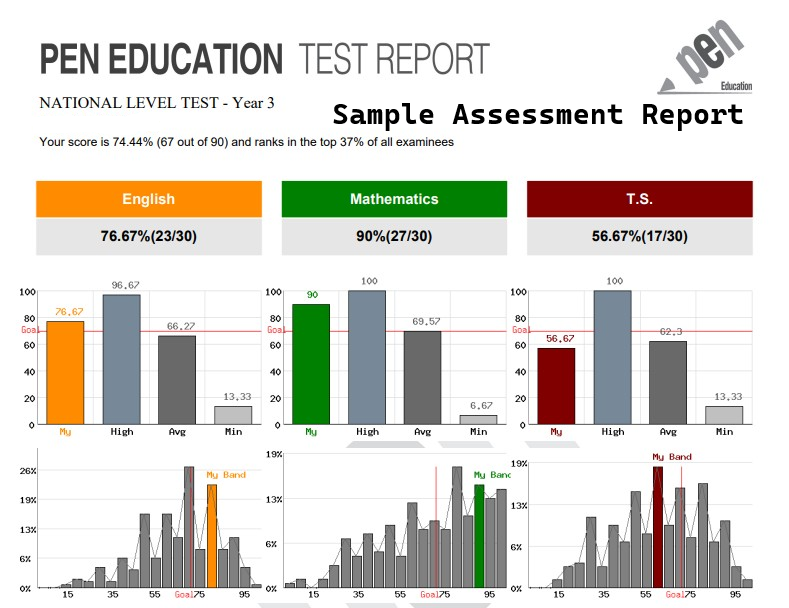 Sample Assessment Report